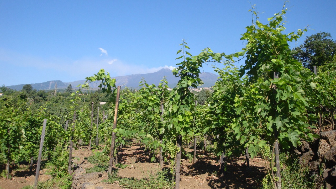 Photo of Outdoor in Coste