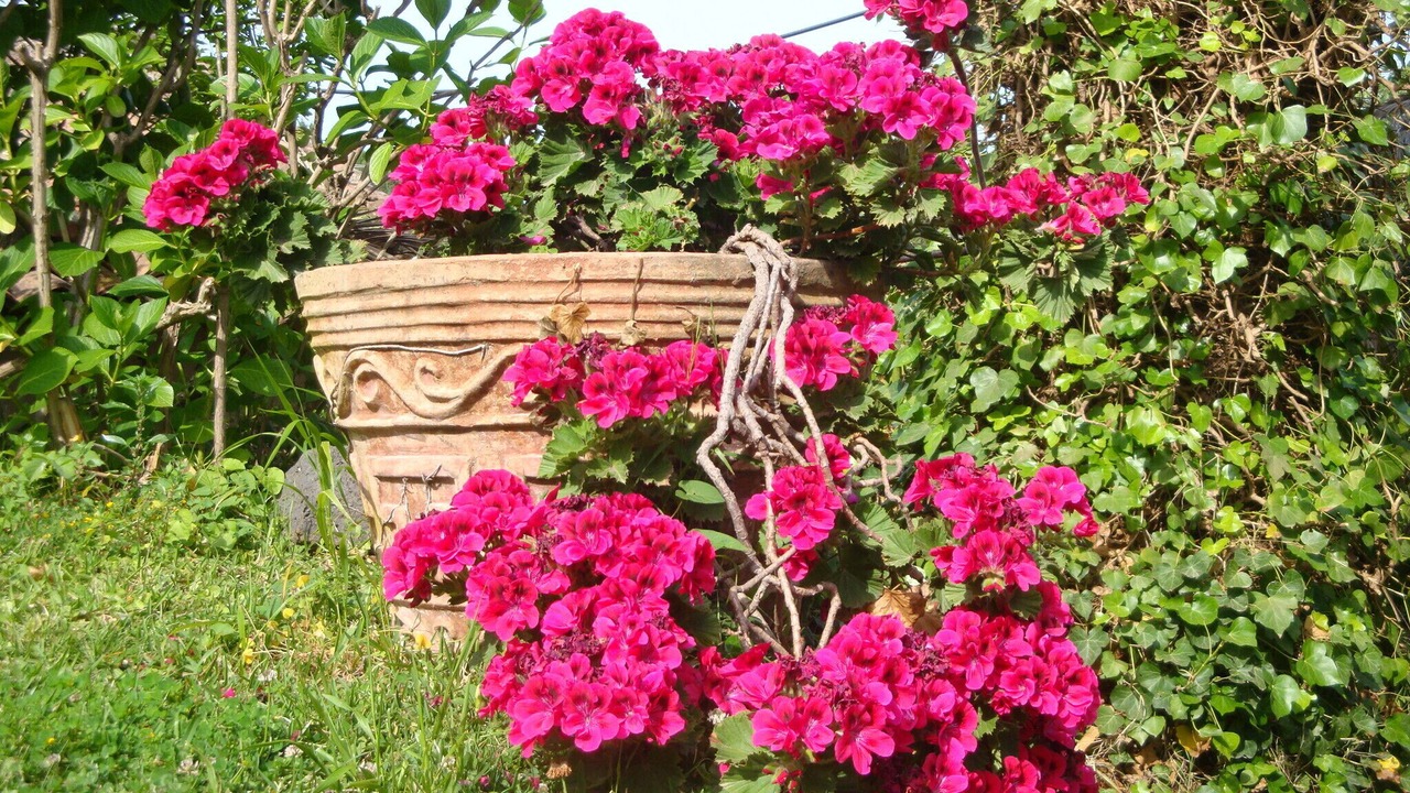 Photo of Outdoor in Coste