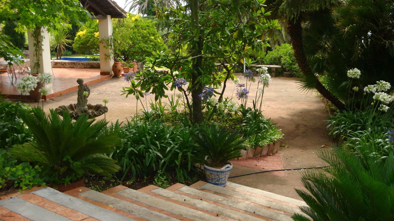 Photo of Outdoor in Coste