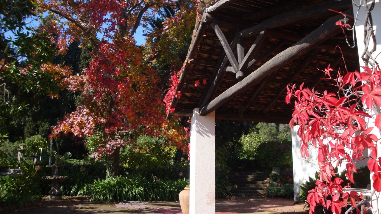 Photo of Outdoor in Coste