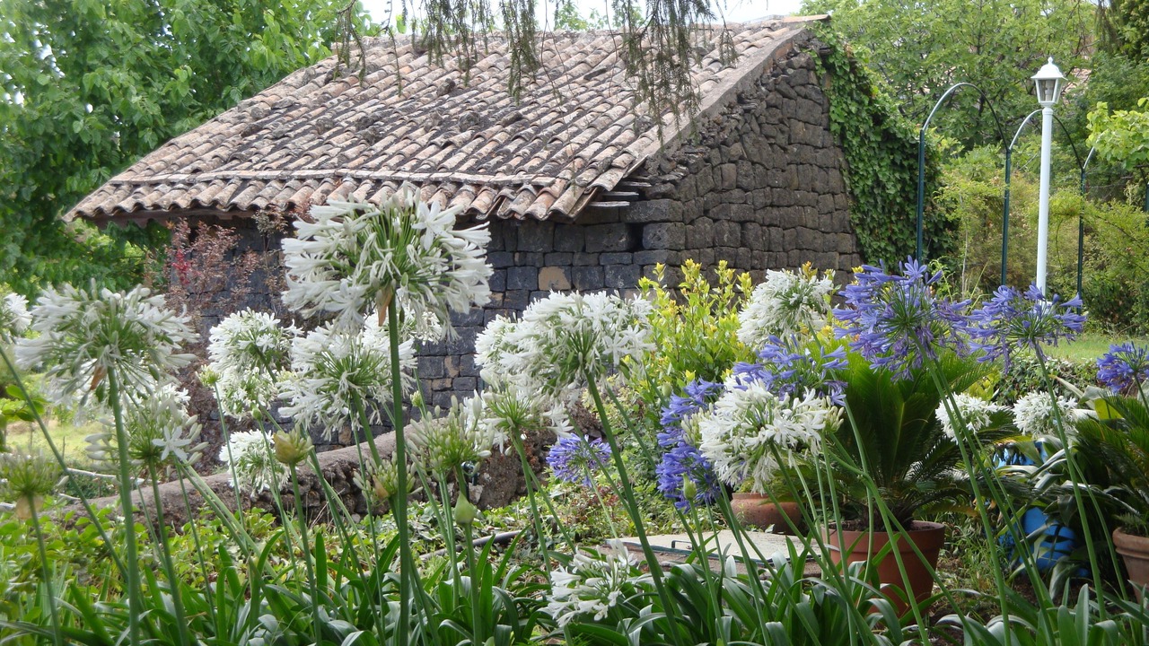 Photo of Outdoor in Coste