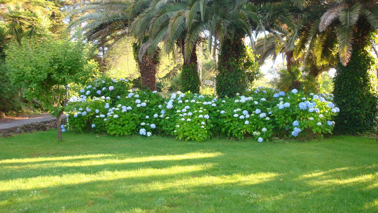 Photo of Outdoor in Coste