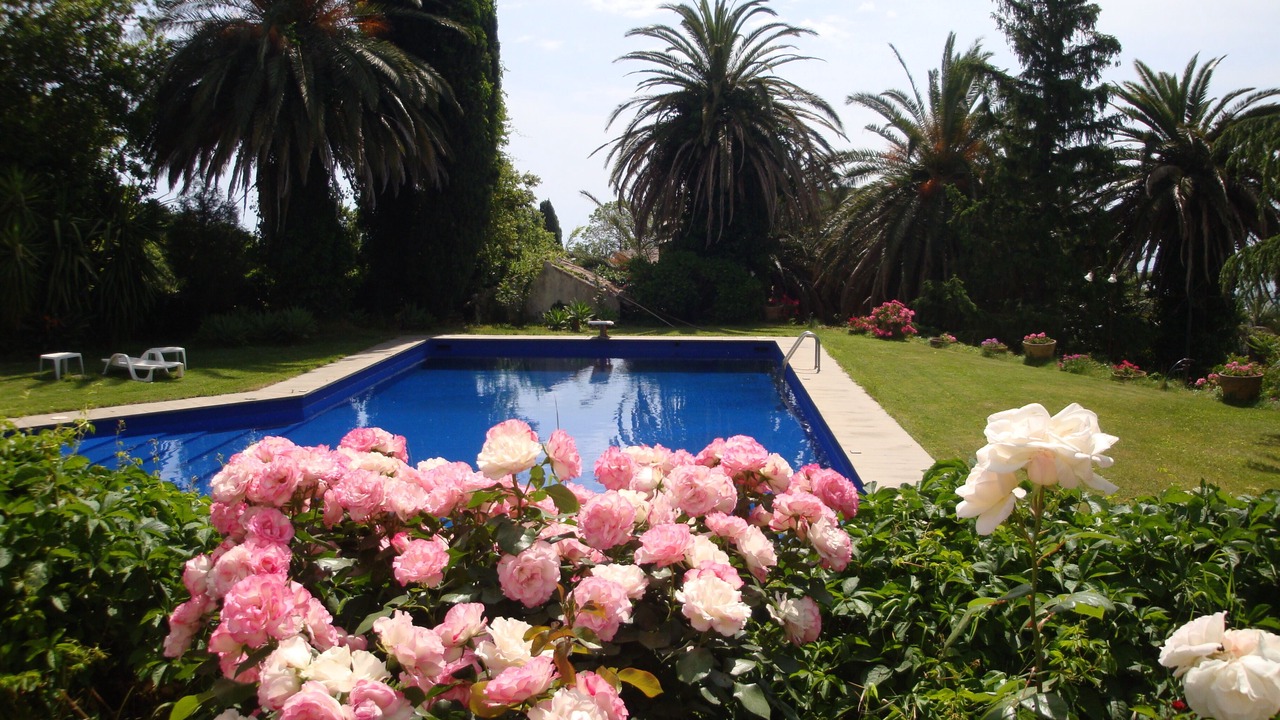 Photo of Outdoor in Coste