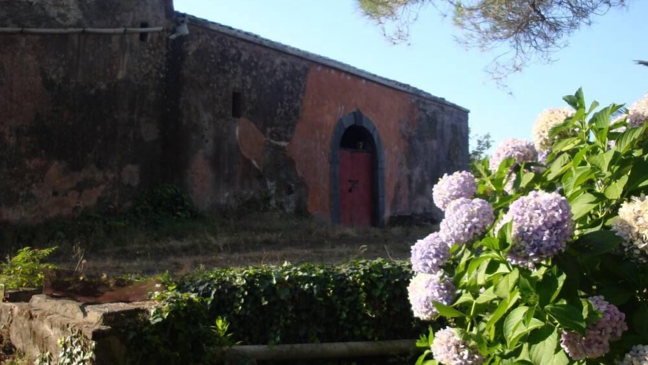 Photo of Others in Coste