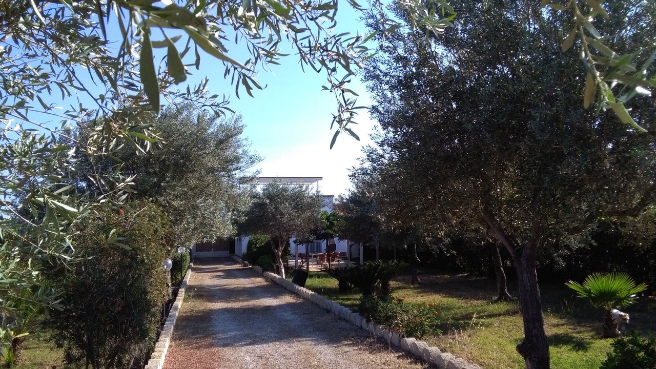 Photo of Outdoor in Noto