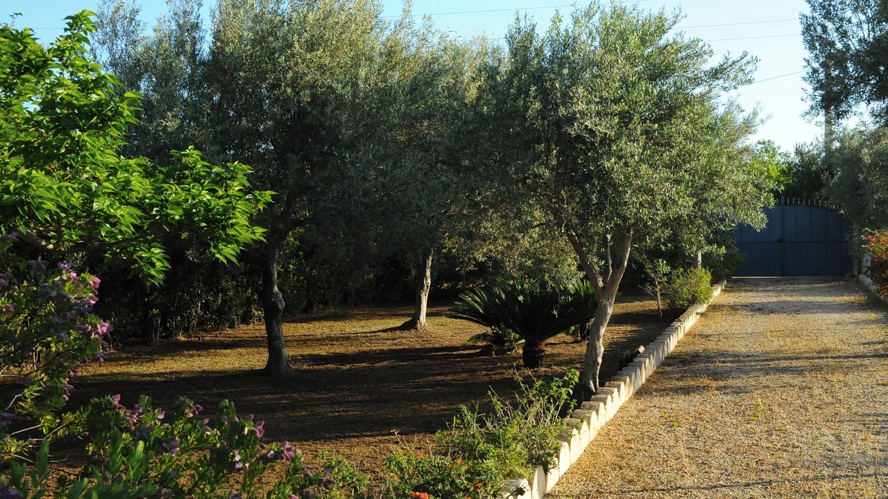 Photo of Outdoor in Noto
