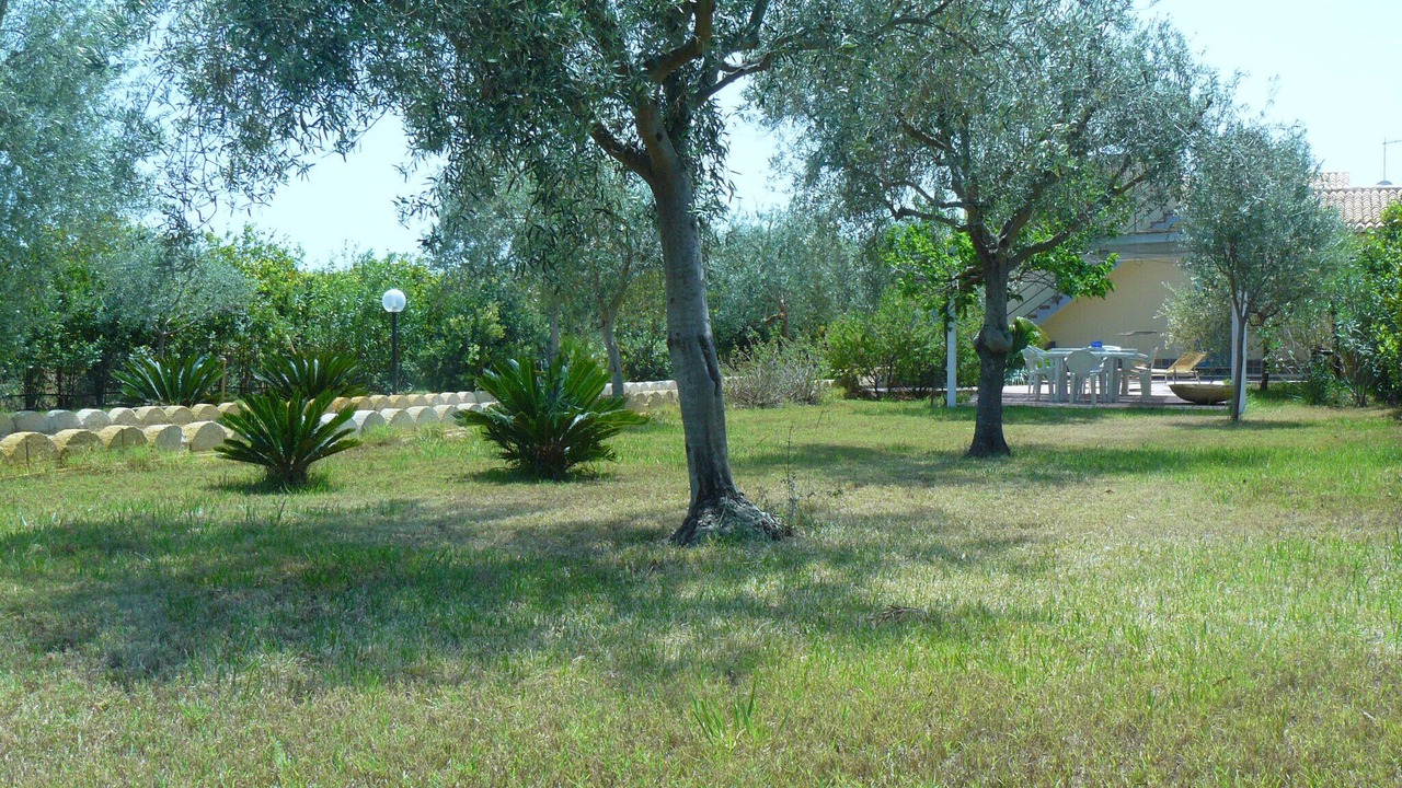 Photo of Outdoor in Noto