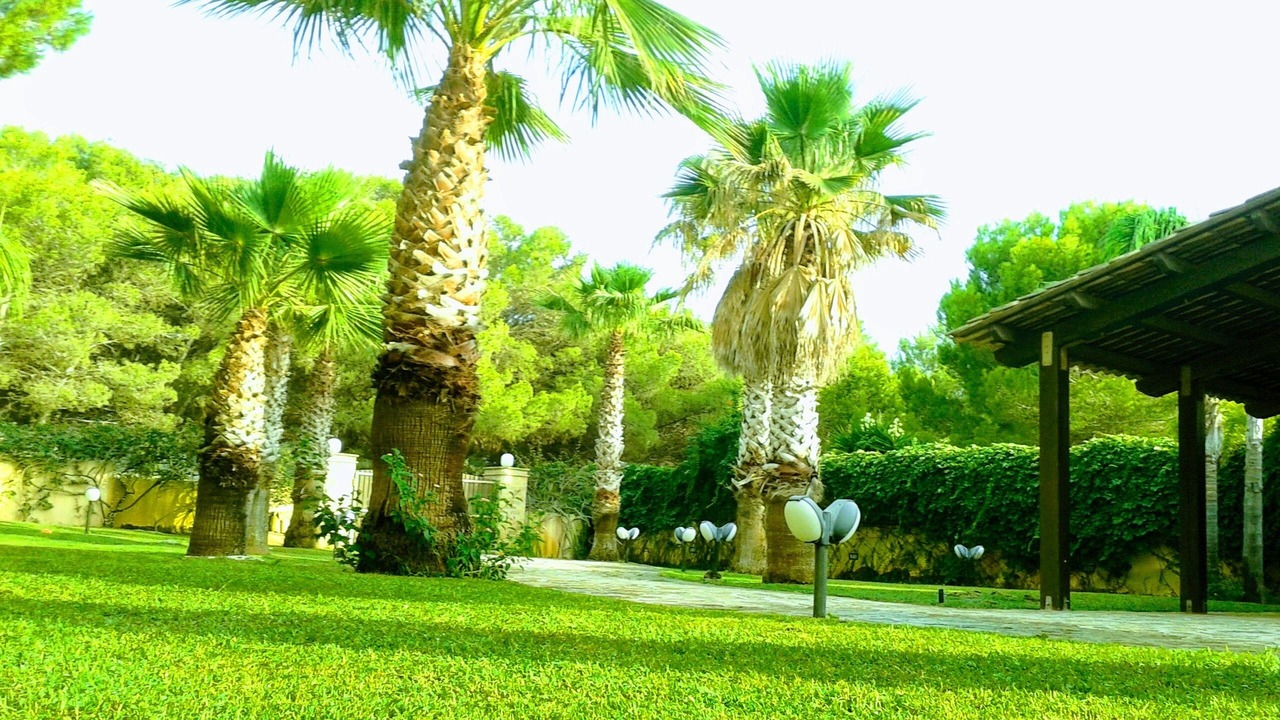 Photo of Outdoor in Favignana