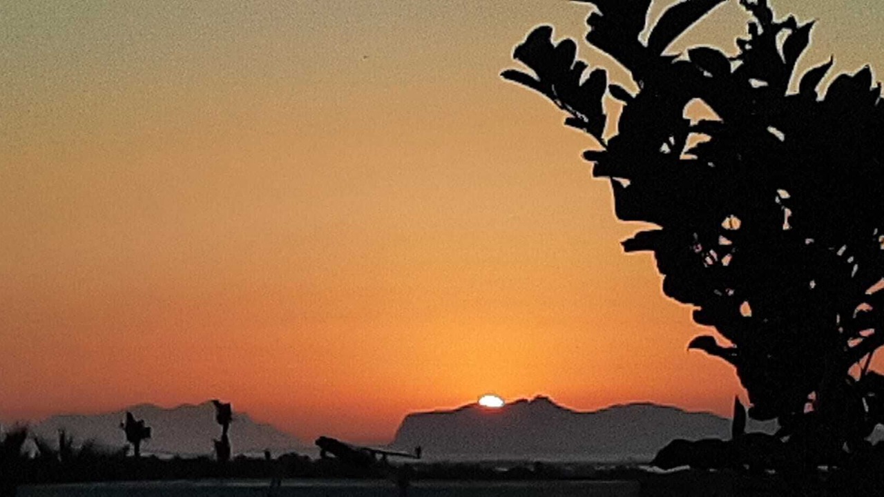 Photo of Others in Favignana