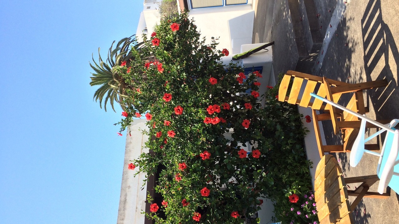 Photo of Patio Balcony in San Vincenzo