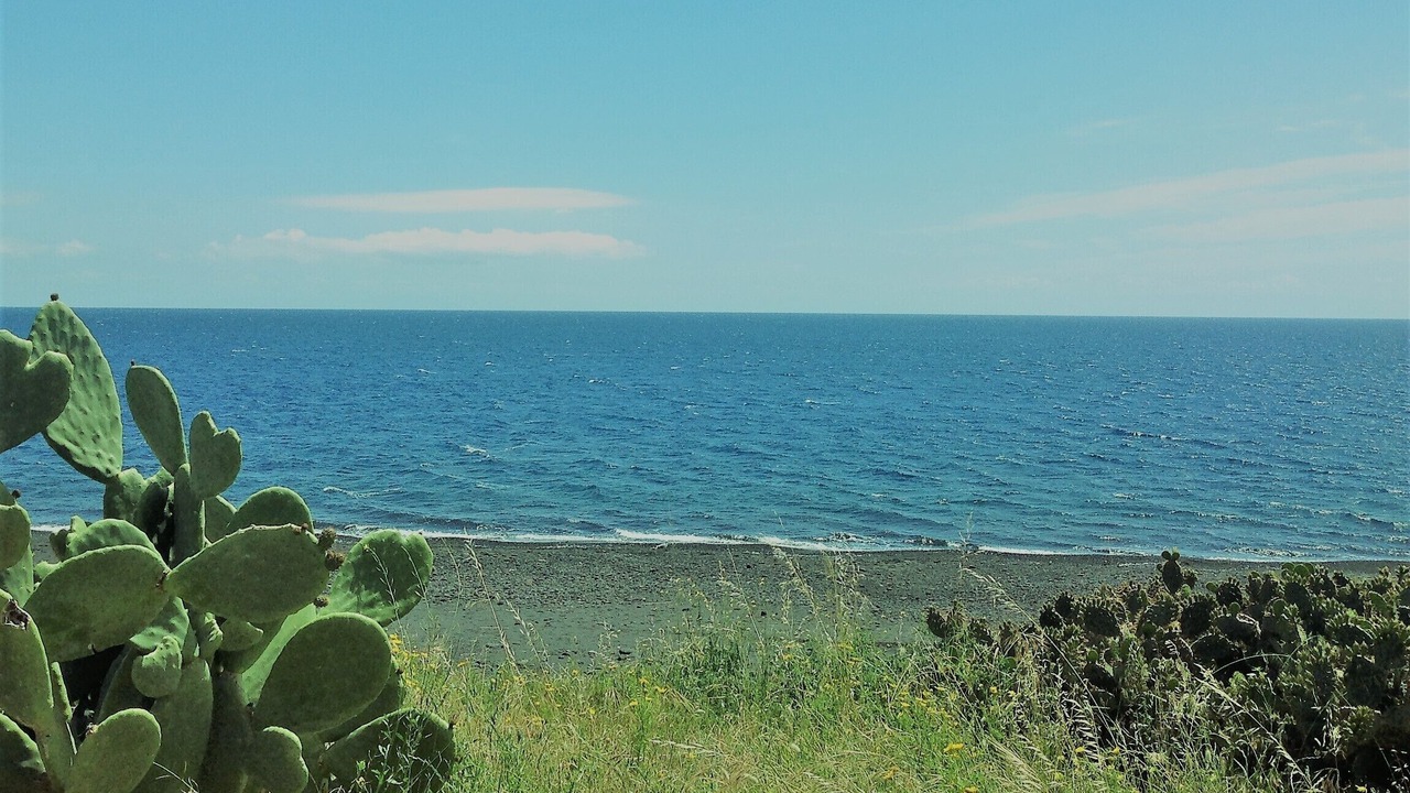 Photo of Others in San Vincenzo
