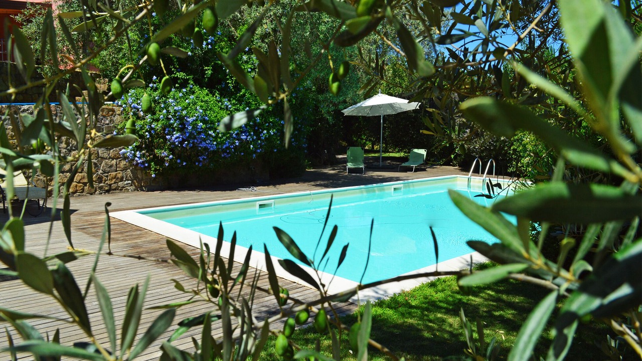 Photo of Outdoor in Mirto