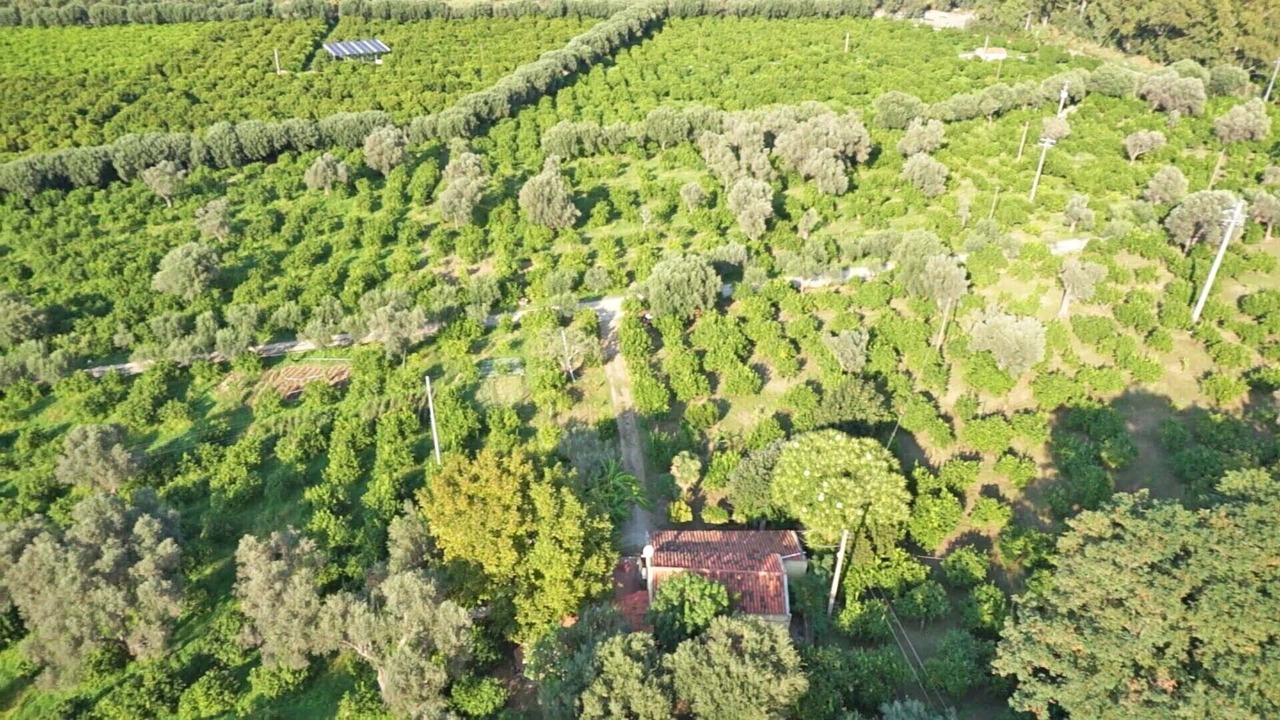 Photo of Outdoor in Mirto