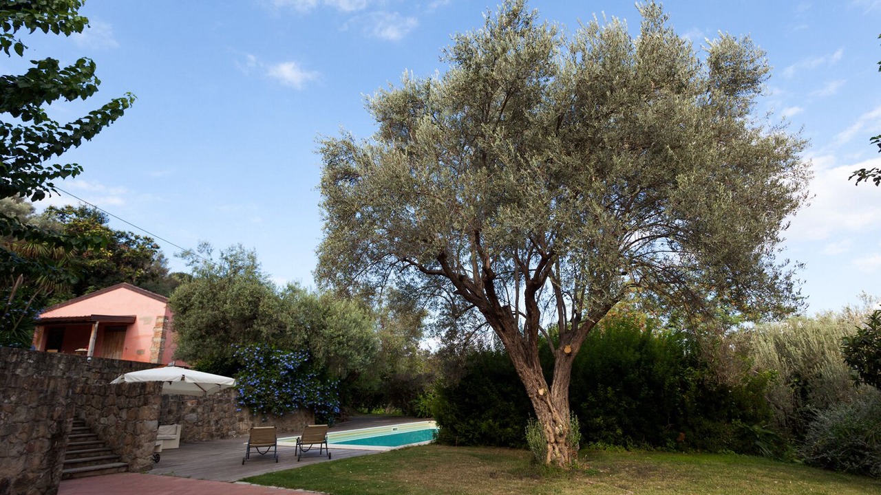 Photo of Outdoor in Mirto