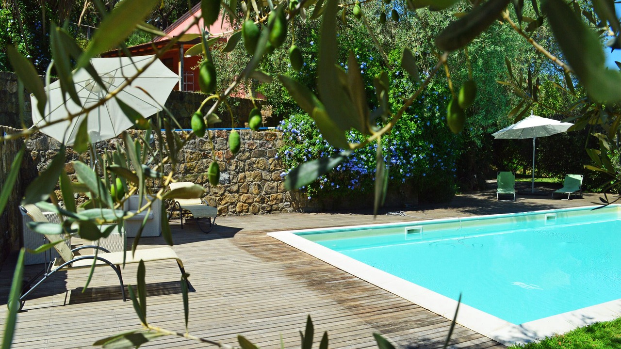 Photo of Outdoor in Mirto