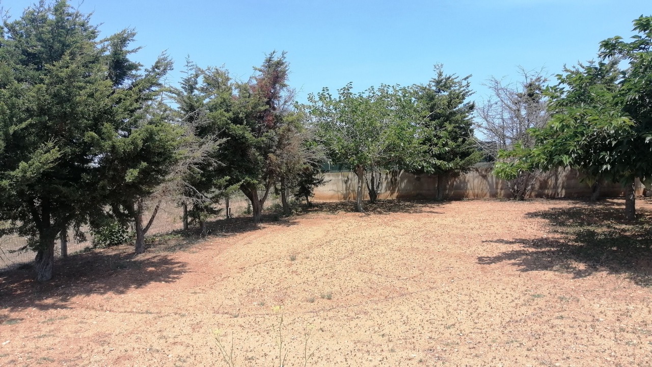 Photo of Outdoor in Santa Maria del Focallo