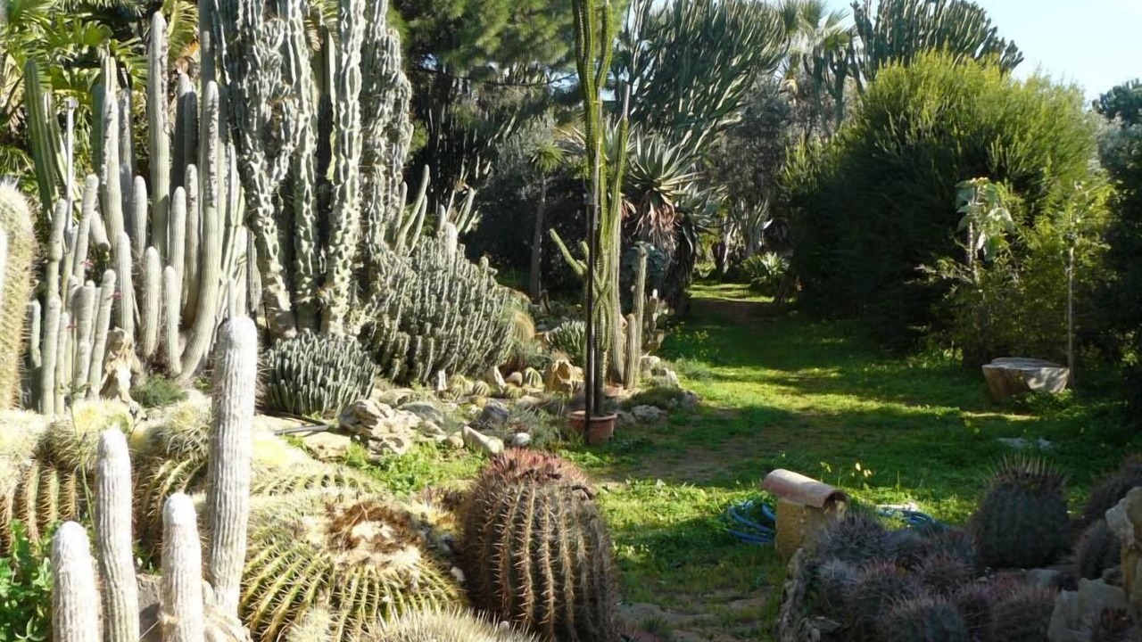 Photo of Outdoor in Castelvetrano