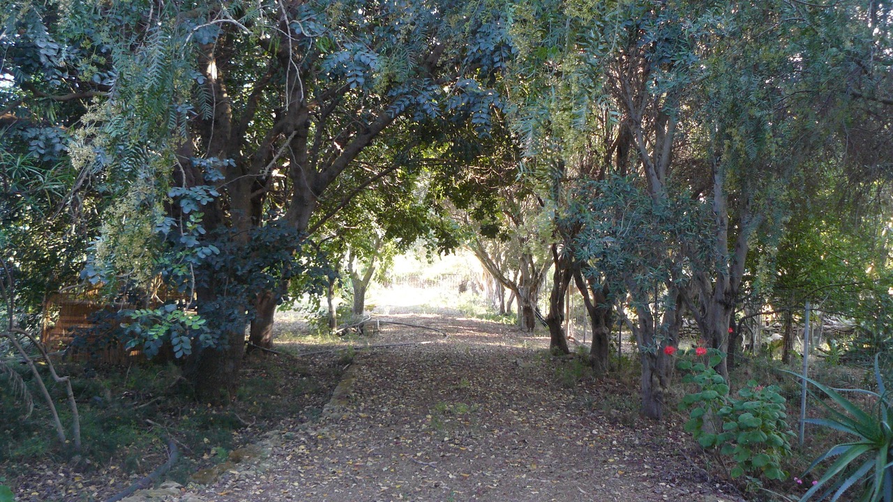 Photo of Outdoor in Castelvetrano
