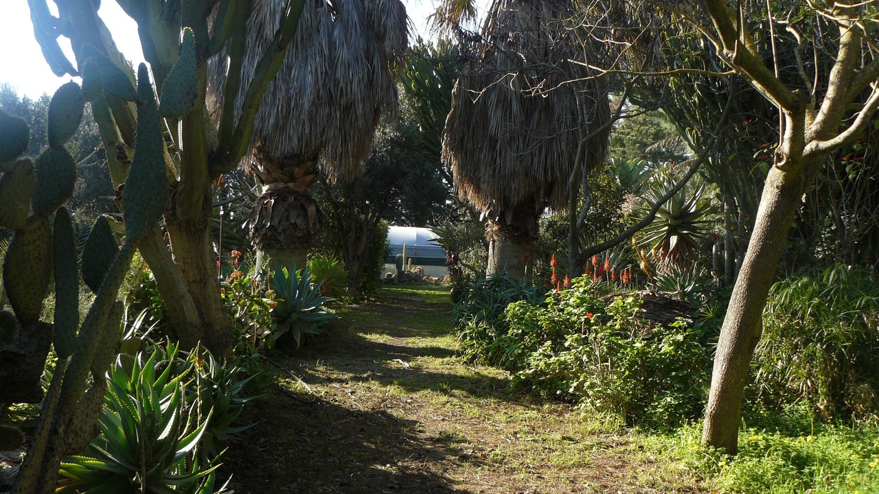 Photo of Outdoor in Castelvetrano