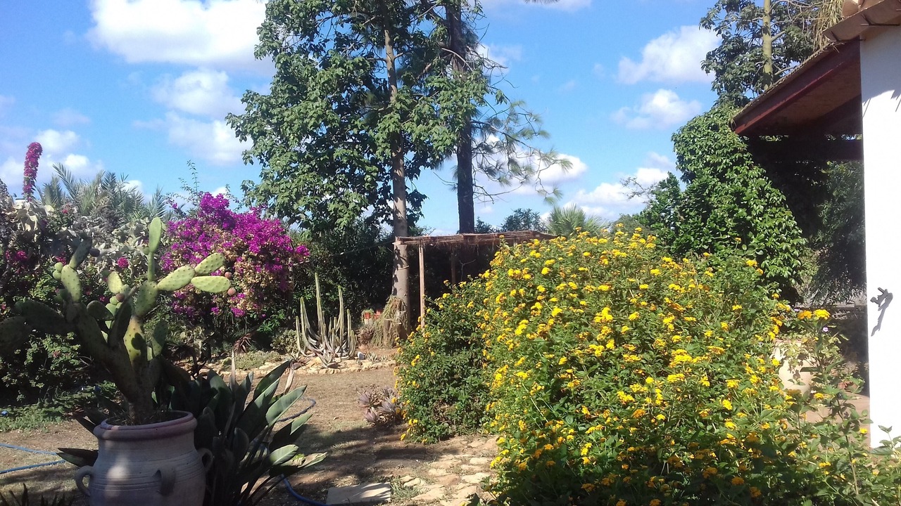 Photo of Outdoor in Castelvetrano