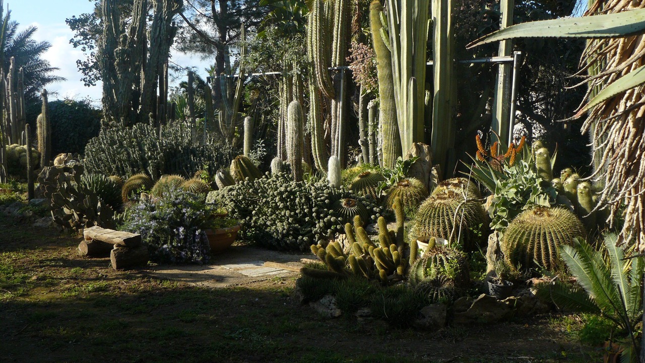 Photo of Outdoor in Castelvetrano