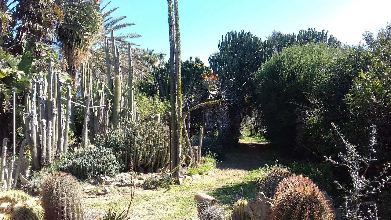 Photo of Outdoor in Castelvetrano