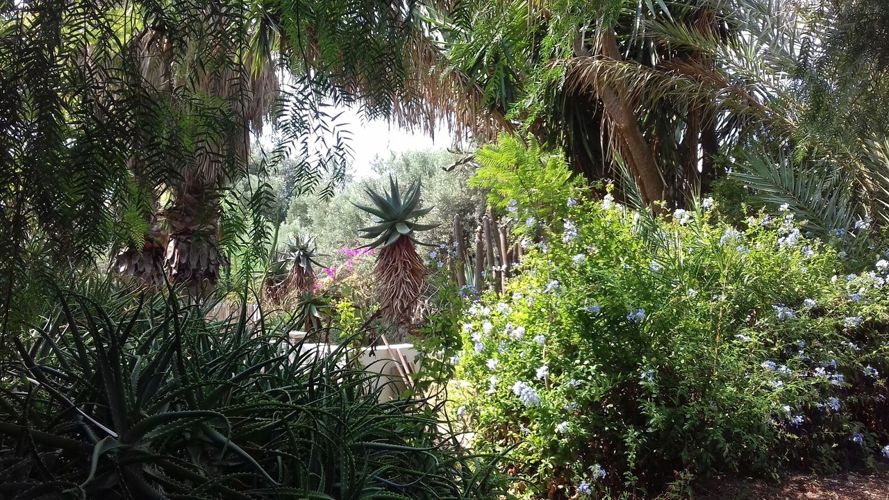 Photo of Outdoor in Castelvetrano