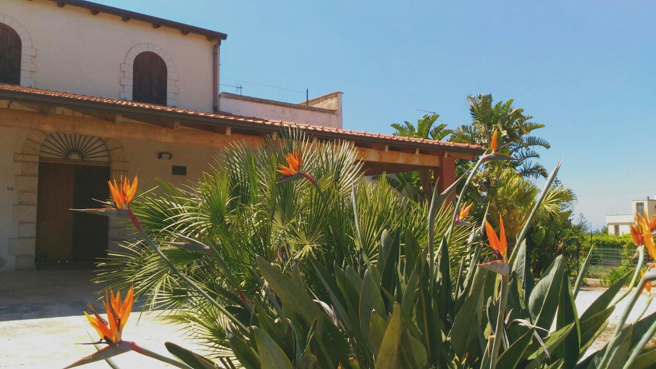 Photo of Outdoor in Alcamo