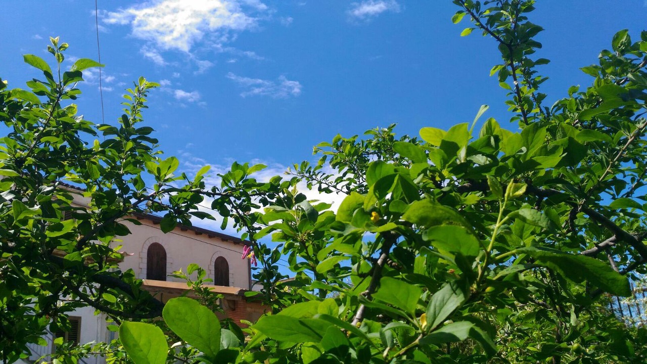 Photo of Outdoor in Alcamo