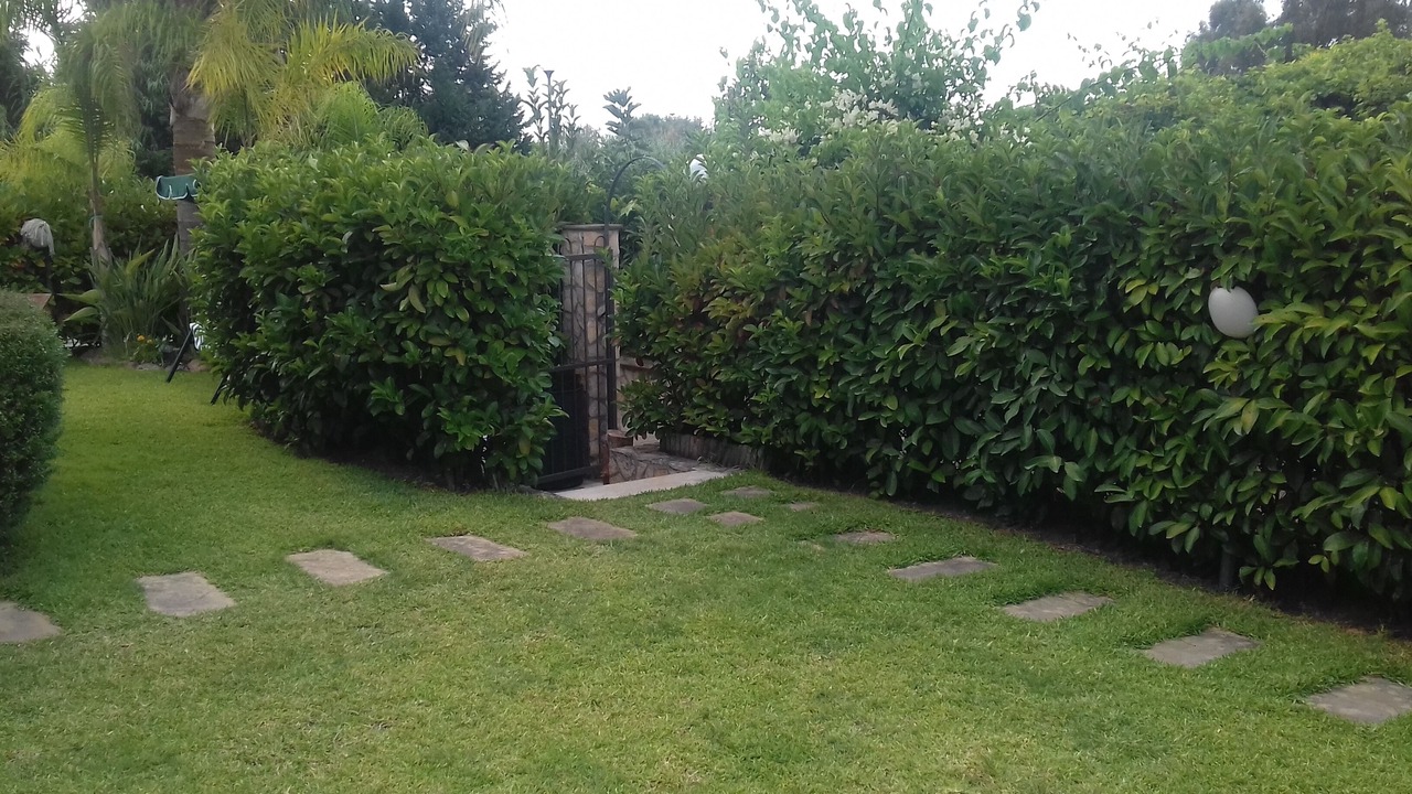 Photo of Outdoor in Piana Calzata
