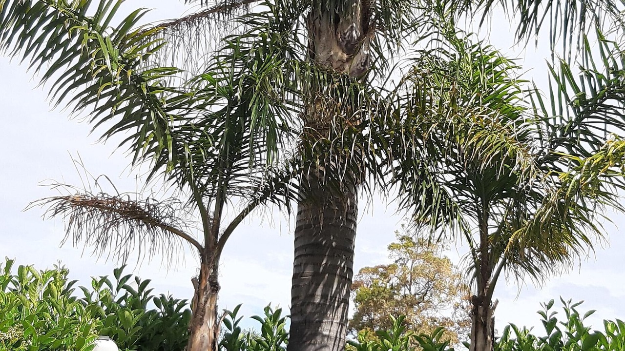 Photo of Outdoor in Piana Calzata