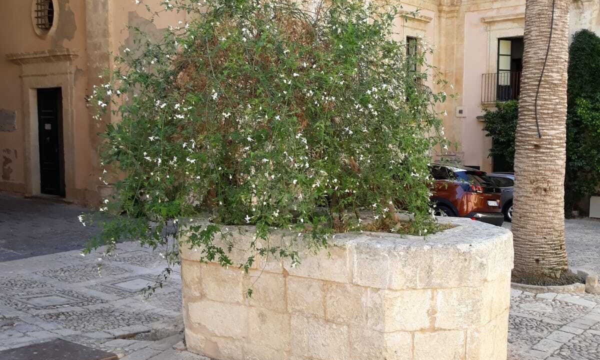 Photo of Outdoor in Donnalucata