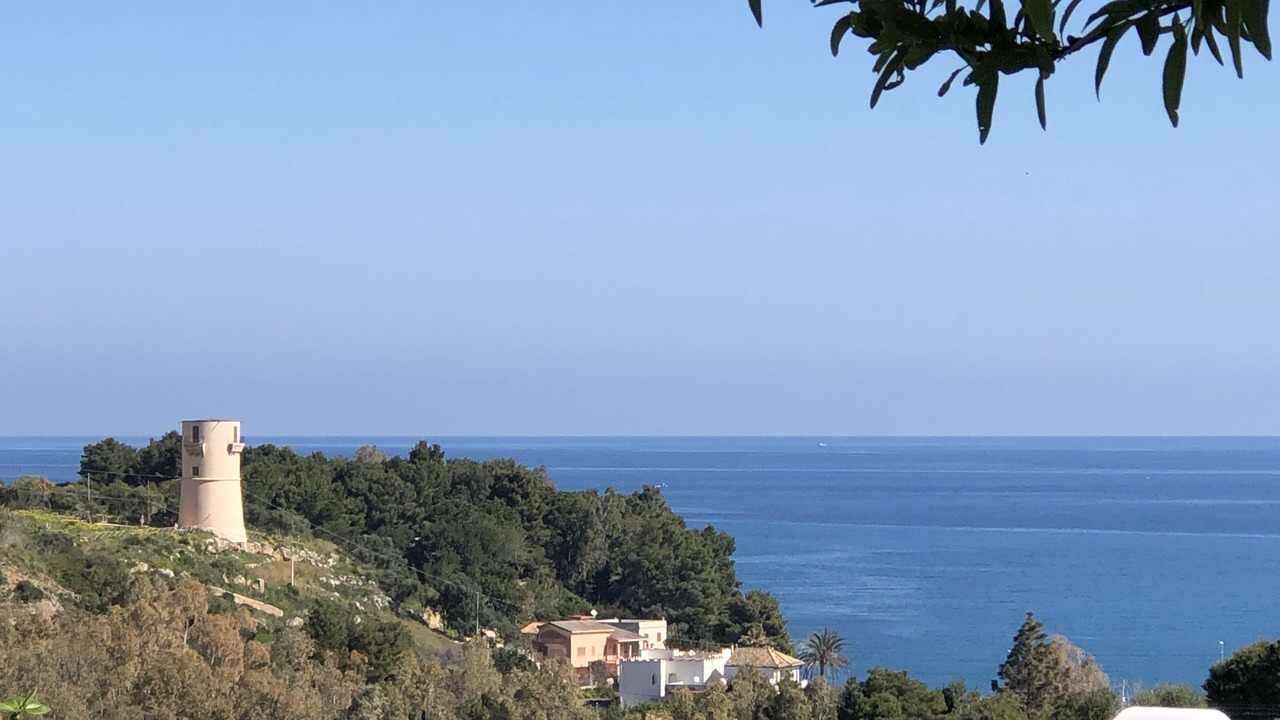 Photo of Others in Scopello