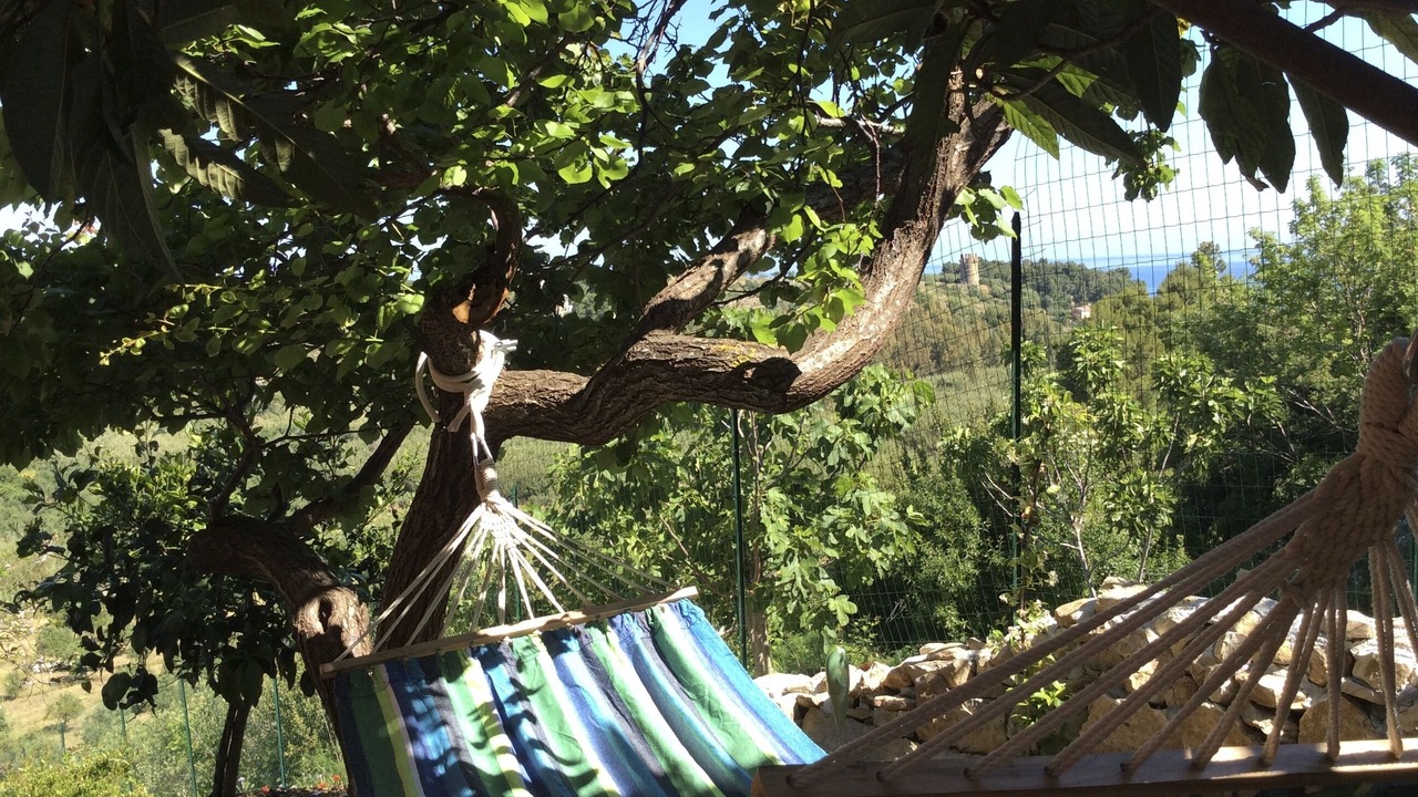 Photo of Outdoor in Scopello