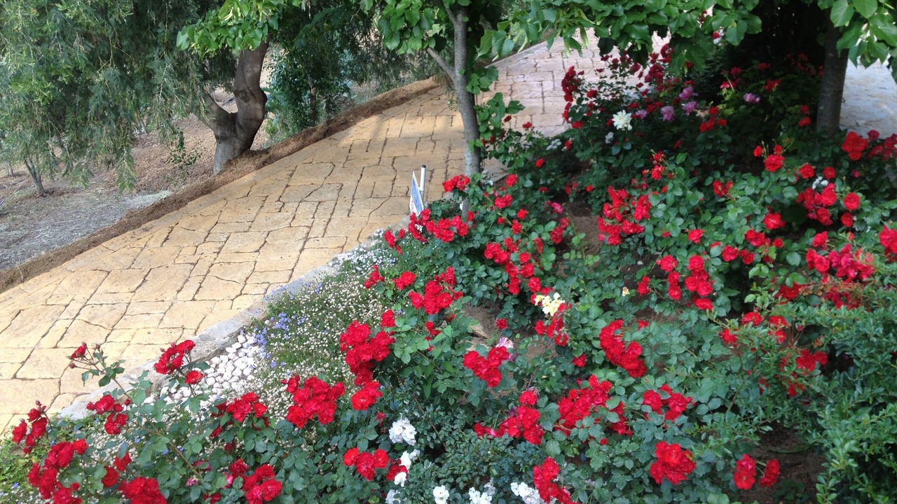 Photo of Outdoor in Castelbuono