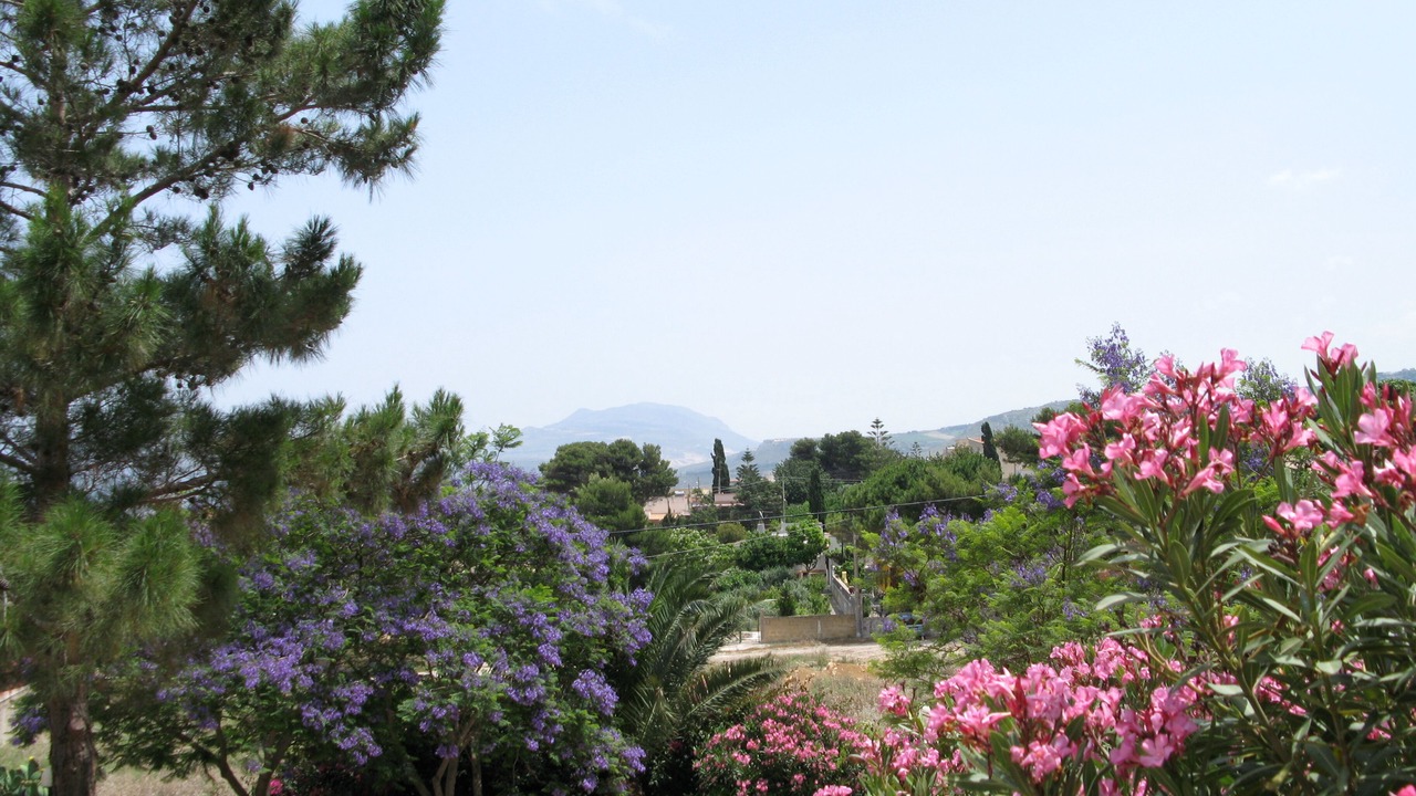 Photo of Outdoor in Erice