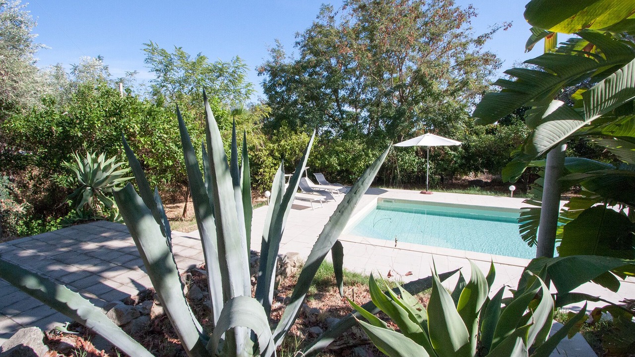 Photo of Outdoor in Mitogio