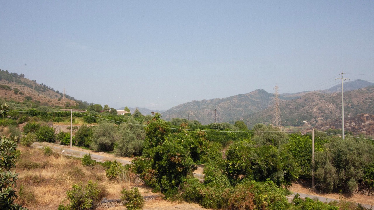 Photo of Others in Mitogio