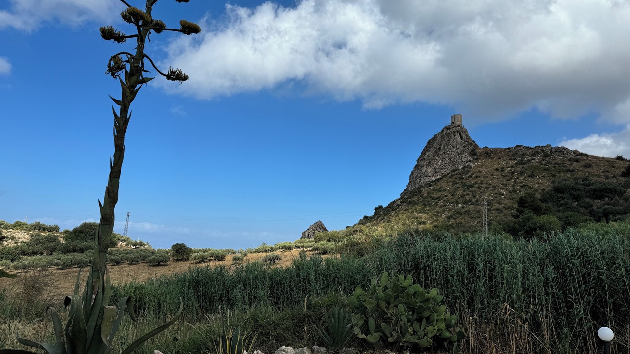 Photo of Others in Scopello