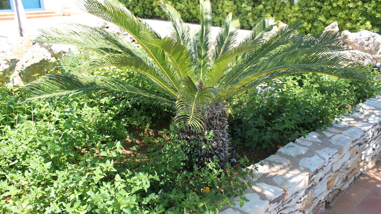Photo of Outdoor in Marinella di Selinunte