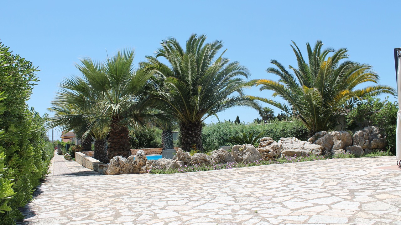 Photo of Outdoor in Marinella di Selinunte