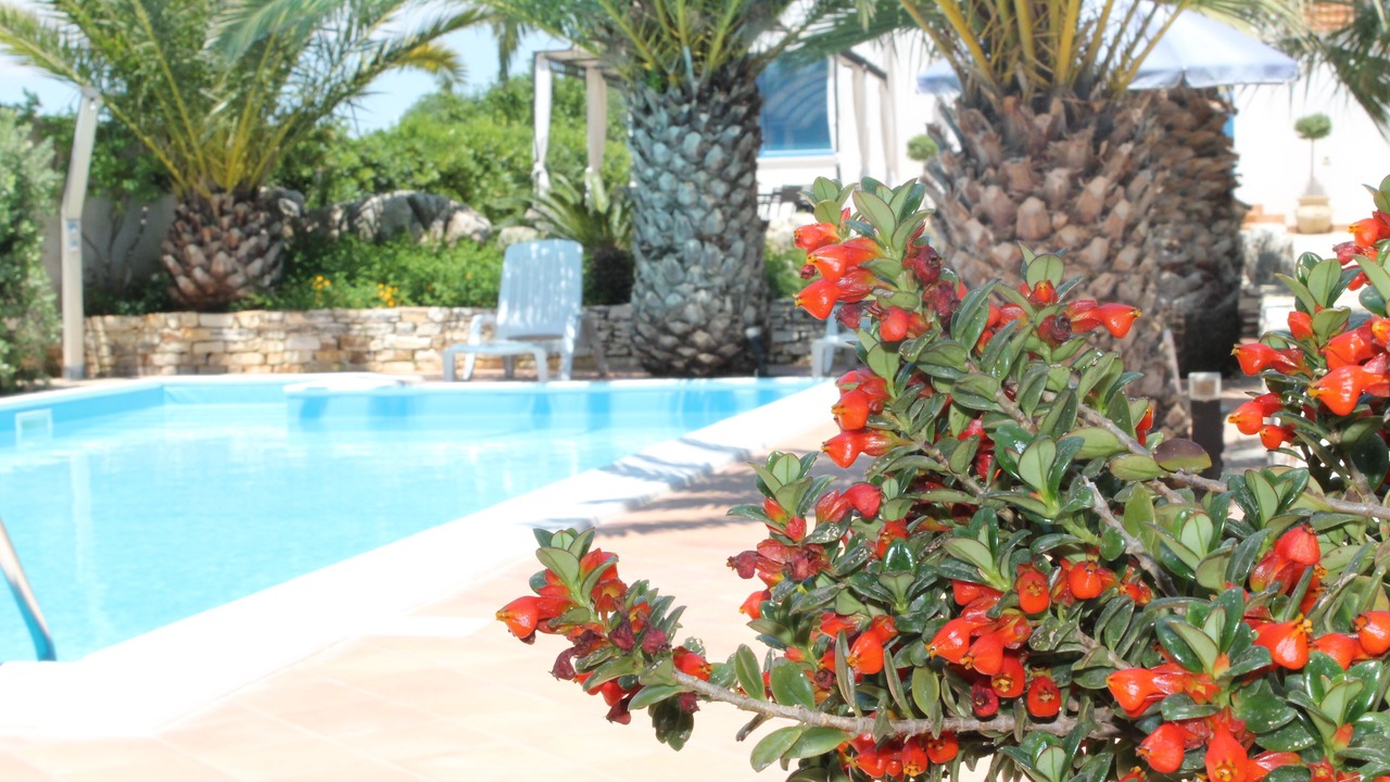 Photo of Outdoor in Marinella di Selinunte