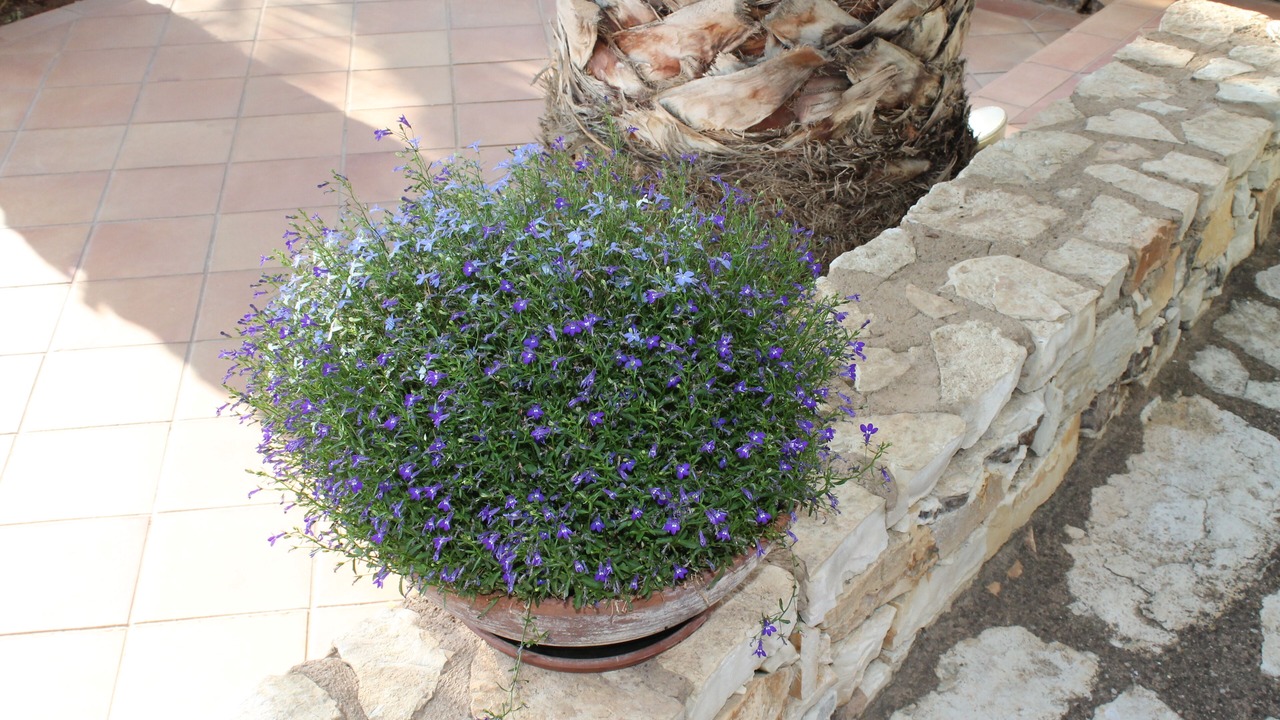 Photo of Outdoor in Marinella di Selinunte