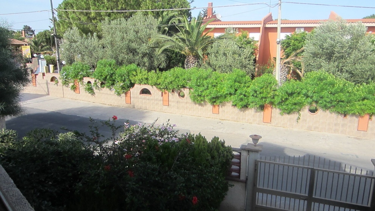 Photo of Others in San Lorenzo