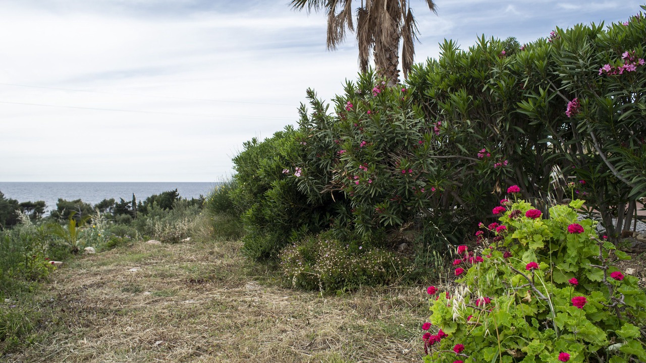 Photo of Outdoor in Macari