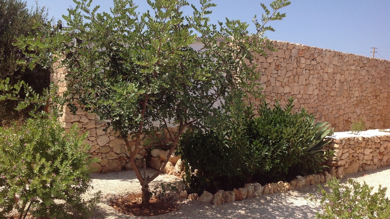 Photo of Outdoor in Lampedusa