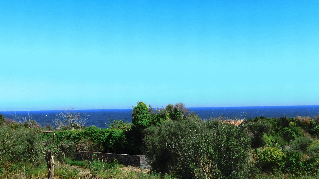 Photo of Others in Santa Tecla