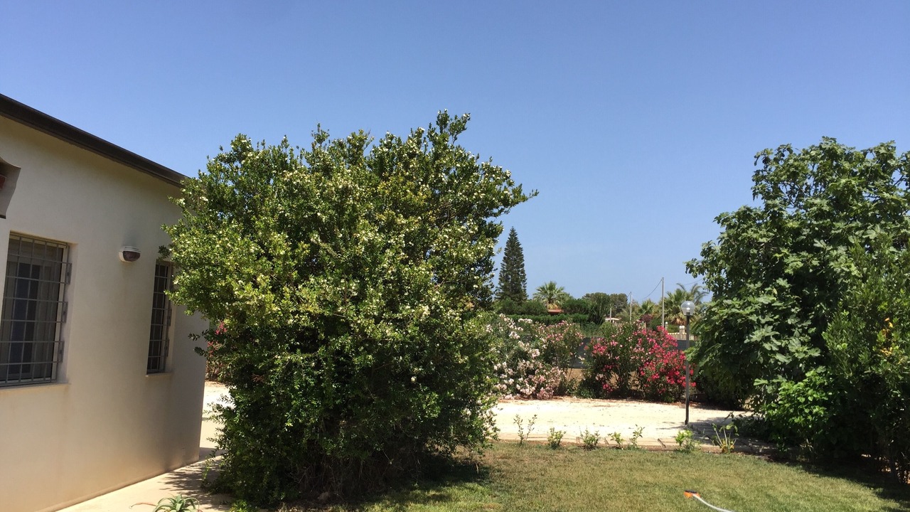 Photo of Outdoor in Reitani