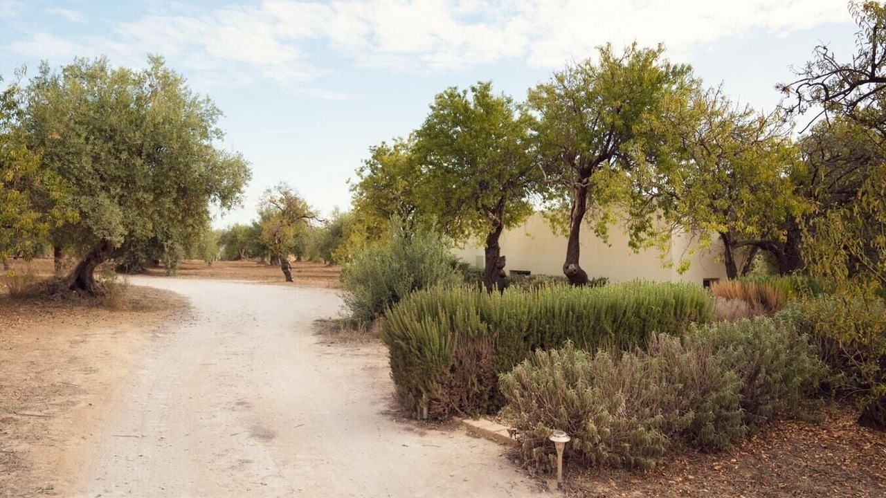 Photo of Outdoor in Noto