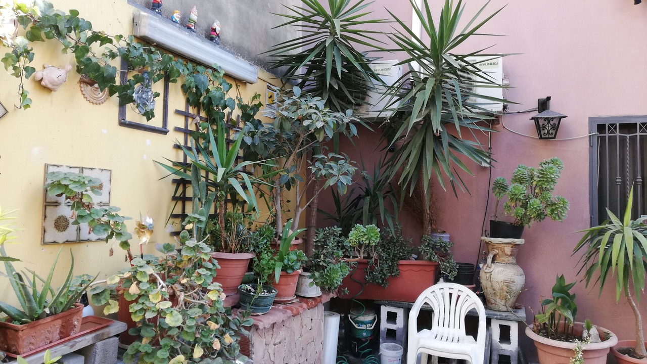 Photo of Patio Balcony in Monte Po-Nesima-San Leone-Rapisardi